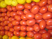 Tomatoes